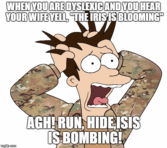 it's hysterrorism | WHEN YOU ARE DYSLEXIC AND YOU HEAR YOUR WIFE YELL, "THE IRIS IS BLOOMING"; AGH! RUN, HIDE,ISIS IS BOMBING! | image tagged in fry multicam panic,dyslexic,terrorism,memes,funny memes | made w/ Imgflip meme maker