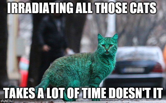 IRRADIATING ALL THOSE CATS TAKES A LOT OF TIME DOESN'T IT | made w/ Imgflip meme maker