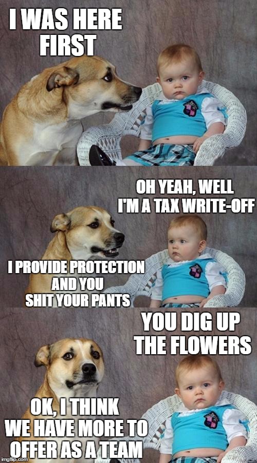 We both suck, so let's stick together | I WAS HERE FIRST; OH YEAH, WELL I'M A TAX WRITE-OFF; I PROVIDE PROTECTION AND YOU SHIT YOUR PANTS; YOU DIG UP THE FLOWERS; OK, I THINK WE HAVE MORE TO OFFER AS A TEAM | image tagged in memes,funny memes,bad joke dog | made w/ Imgflip meme maker