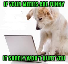 IF YOUR MEMES ARE FUNNY IT SURELY WON'T HURT YOU | made w/ Imgflip meme maker