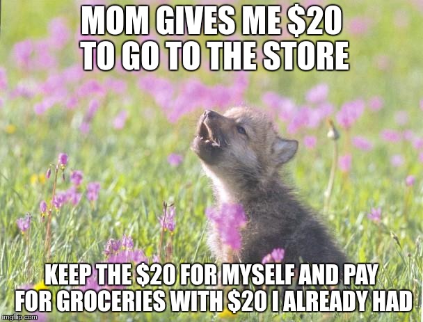 Life is all about risks! | MOM GIVES ME $20 TO GO TO THE STORE; KEEP THE $20 FOR MYSELF AND PAY FOR GROCERIES WITH $20 I ALREADY HAD | image tagged in memes,baby insanity wolf | made w/ Imgflip meme maker