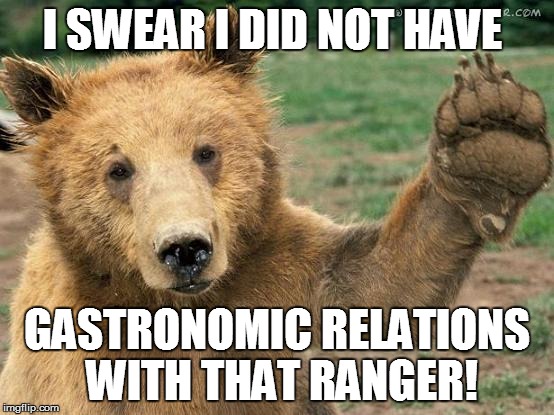 I SWEAR I DID NOT HAVE GASTRONOMIC RELATIONS WITH THAT RANGER! | made w/ Imgflip meme maker