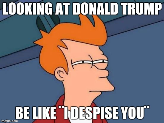 Futurama Fry | LOOKING AT DONALD TRUMP; BE LIKE ¨I DESPISE YOU¨ | image tagged in memes,futurama fry | made w/ Imgflip meme maker