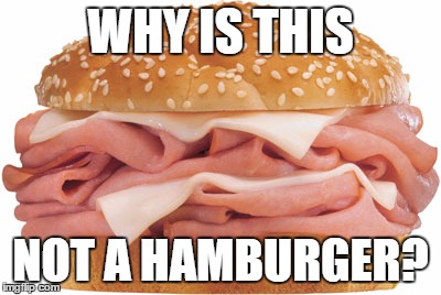Great mystery of world- why hamburgers have no ham | WHY IS THIS; NOT A HAMBURGER? | image tagged in memes,funny memes,food for thought | made w/ Imgflip meme maker