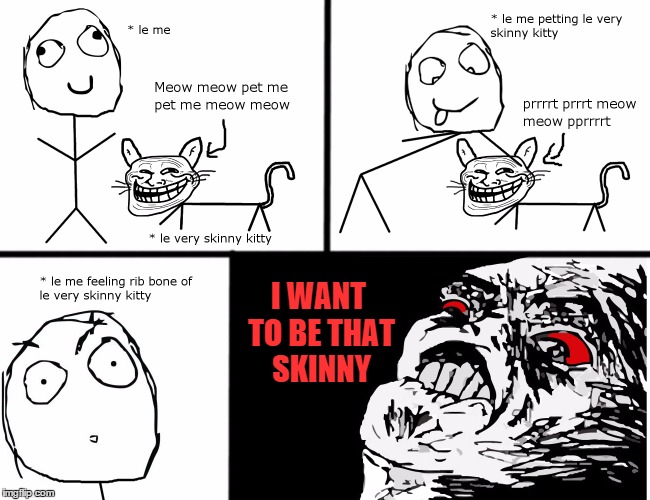 skinny kitty | I WANT TO BE THAT SKINNY | image tagged in skinny,kitty,derp,anorexia,cat,weight | made w/ Imgflip meme maker