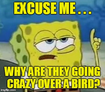 EXCUSE ME . . . WHY ARE THEY GOING CRAZY OVER A BIRD? | made w/ Imgflip meme maker