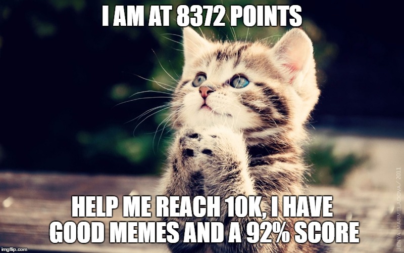 Down and give me 10k | I AM AT 8372 POINTS; HELP ME REACH 10K, I HAVE GOOD MEMES AND A 92% SCORE | image tagged in cute cat,memes | made w/ Imgflip meme maker