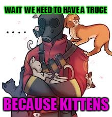 KITTEN OF TRUCE | WAIT  WE NEED TO HAVE A TRUCE; BECAUSE KITTENS | image tagged in because kittens,tf2 pyro,cuteness | made w/ Imgflip meme maker