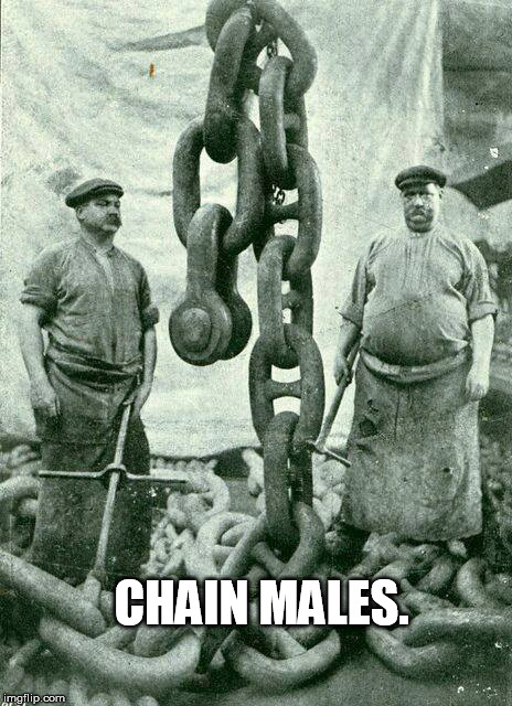 Who needs a dog to pun? | CHAIN MALES. | image tagged in chain,memes | made w/ Imgflip meme maker