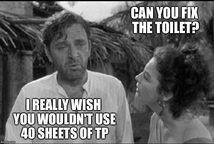 MR FIX IT HUSBAND |  CAN YOU FIX THE TOILET? I REALLY WISH YOU WOULDN'T USE 40 SHEETS OF TP | image tagged in sure i'll just do it,fix it,marriage | made w/ Imgflip meme maker