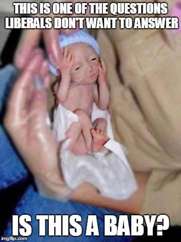 THIS IS ONE OF THE QUESTIONS LIBERALS DON'T WANT TO ANSWER; IS THIS A BABY? | image tagged in 1 question | made w/ Imgflip meme maker
