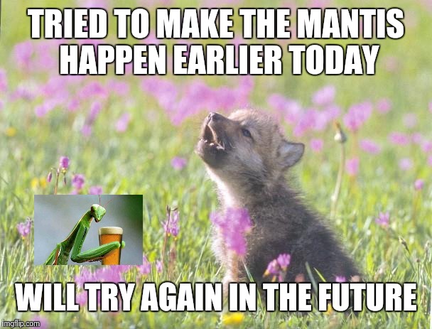 Baby Insanity Wolf |  TRIED TO MAKE THE MANTIS HAPPEN EARLIER TODAY; WILL TRY AGAIN IN THE FUTURE | image tagged in memes,baby insanity wolf,AdviceAnimals | made w/ Imgflip meme maker