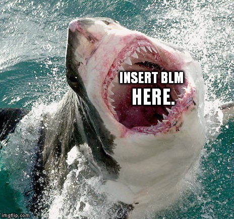 Sharks lives matter. | INSERT BLM; HERE. | image tagged in black lives matter,blm,sharks,insert here | made w/ Imgflip meme maker