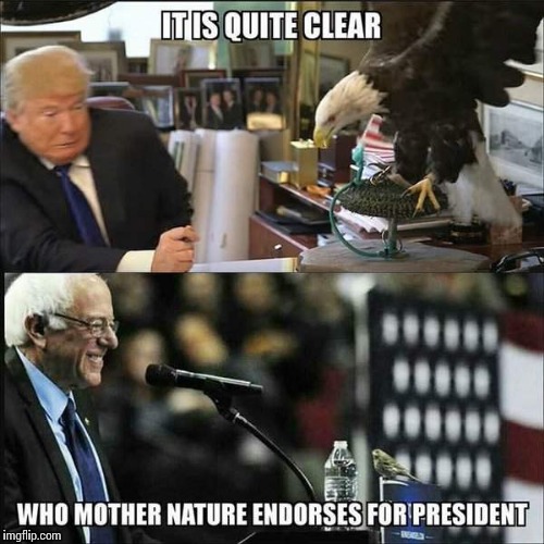 . | made w/ Imgflip meme maker