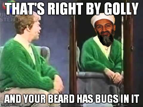 THAT'S RIGHT BY GOLLY AND YOUR BEARD HAS BUGS IN IT | made w/ Imgflip meme maker