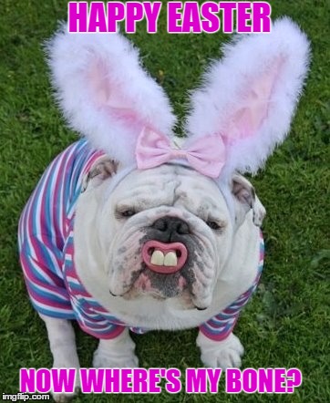 Easter Puppy | HAPPY EASTER; NOW WHERE'S MY BONE? | image tagged in happy easter,easter,easter bunny | made w/ Imgflip meme maker