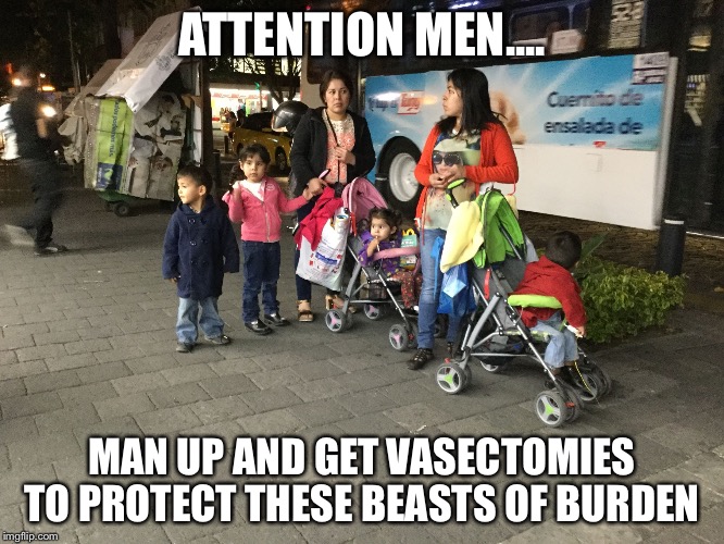 ATTENTION MEN.... MAN UP AND GET VASECTOMIES TO PROTECT THESE BEASTS OF BURDEN | image tagged in too many babies,overpopulation,selfishness | made w/ Imgflip meme maker