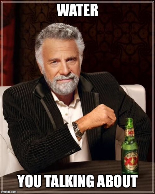 WATER YOU TALKING ABOUT | image tagged in memes,the most interesting man in the world | made w/ Imgflip meme maker