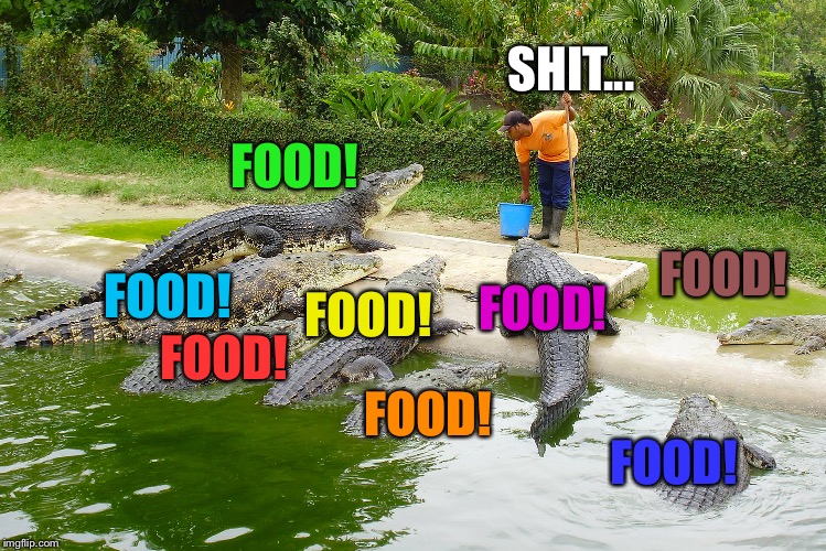 Feeding time! | SHIT... FOOD! FOOD! FOOD! FOOD! FOOD! FOOD! FOOD! FOOD! | image tagged in crocodiles | made w/ Imgflip meme maker