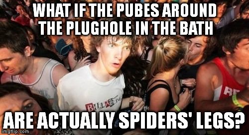 Sudden Clarity Clarence | WHAT IF THE PUBES AROUND THE PLUGHOLE IN THE BATH; ARE ACTUALLY SPIDERS' LEGS? | image tagged in memes,sudden clarity clarence | made w/ Imgflip meme maker