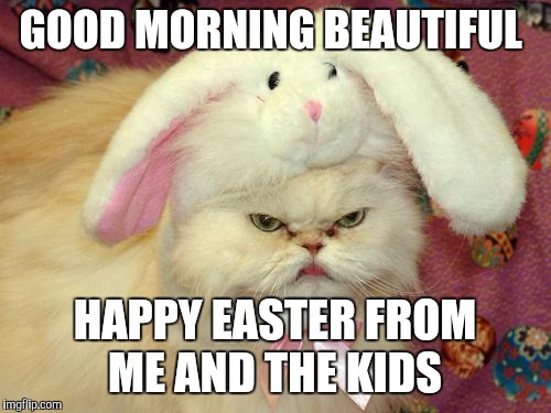 easter cat | GOOD MORNING BEAUTIFUL; HAPPY EASTER FROM ME AND THE KIDS | image tagged in easter cat | made w/ Imgflip meme maker