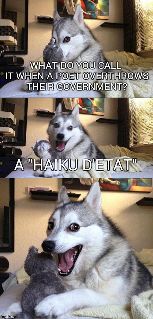 I am a soldier | I am also a poet | I like to eat cake ~haiku~ | WHAT DO YOU CALL IT WHEN A POET OVERTHROWS THEIR GOVERNMENT? A "HAIKU D'ETAT" | image tagged in memes,bad pun dog | made w/ Imgflip meme maker