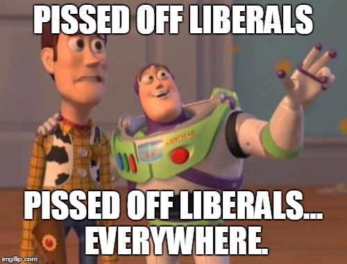 X, X Everywhere Meme | PISSED OFF LIBERALS PISSED OFF LIBERALS... EVERYWHERE. | image tagged in memes,x x everywhere | made w/ Imgflip meme maker
