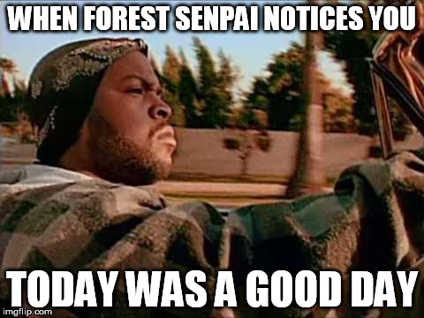 Today Was A Good Day Meme | WHEN FOREST SENPAI NOTICES YOU; TODAY WAS A GOOD DAY | image tagged in memes,today was a good day | made w/ Imgflip meme maker