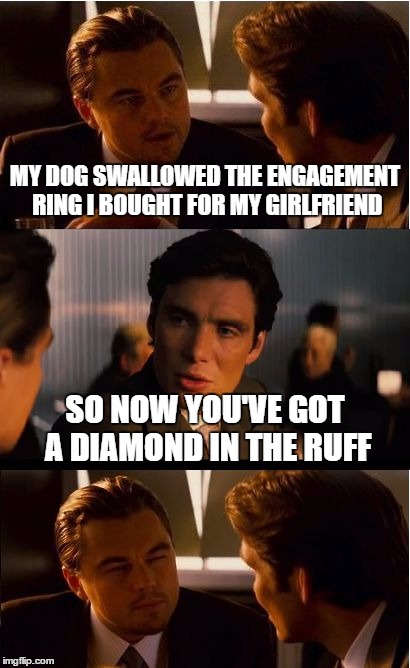 Inception | MY DOG SWALLOWED THE ENGAGEMENT RING I BOUGHT FOR MY GIRLFRIEND; SO NOW YOU'VE GOT A DIAMOND IN THE RUFF | image tagged in memes,inception | made w/ Imgflip meme maker