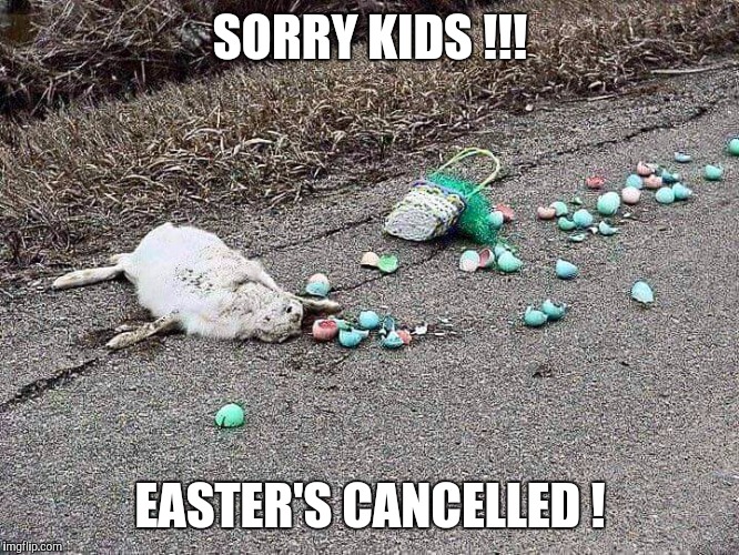 SORRY KIDS !!! EASTER'S CANCELLED ! | image tagged in easter's cancelled | made w/ Imgflip meme maker