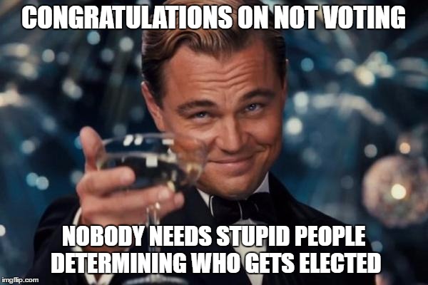 Leonardo Dicaprio Cheers Meme | CONGRATULATIONS ON NOT VOTING NOBODY NEEDS STUPID PEOPLE DETERMINING WHO GETS ELECTED | image tagged in memes,leonardo dicaprio cheers | made w/ Imgflip meme maker
