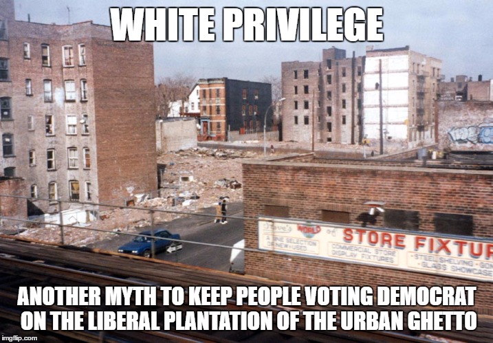 WHITE PRIVILEGE ANOTHER MYTH TO KEEP PEOPLE VOTING DEMOCRAT ON THE LIBERAL PLANTATION OF THE URBAN GHETTO | image tagged in memes | made w/ Imgflip meme maker