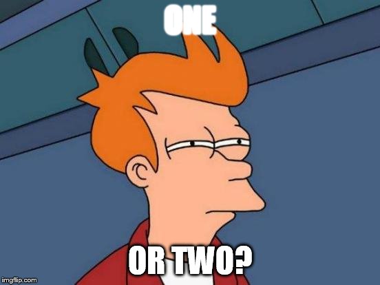 Futurama Fry Meme | ONE OR TWO? | image tagged in memes,futurama fry | made w/ Imgflip meme maker