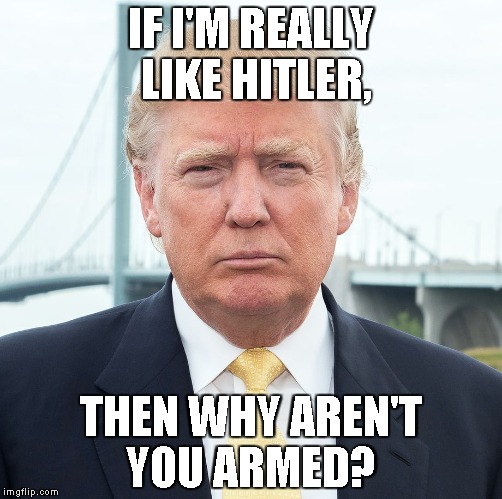 Donald Trump, 2016 |  IF I'M REALLY LIKE HITLER, THEN WHY AREN'T YOU ARMED? | image tagged in donald trump,gun control,nra,terrorism,hitler,hypocrisy | made w/ Imgflip meme maker