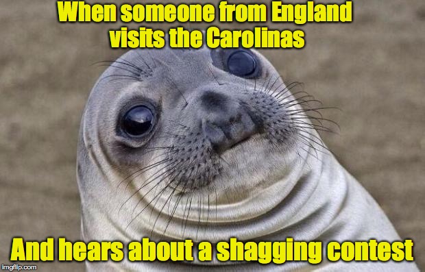 Awkward Moment Sealion | When someone from England visits the Carolinas; And hears about a shagging contest | image tagged in memes,awkward moment sealion | made w/ Imgflip meme maker