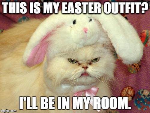 easter cat | THIS IS MY EASTER OUTFIT? I'LL BE IN MY ROOM. | image tagged in easter cat | made w/ Imgflip meme maker