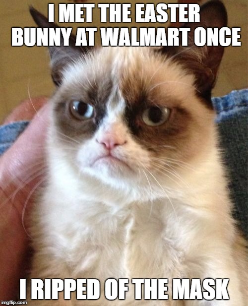 Grumpy Cat | I MET THE EASTER BUNNY AT WALMART ONCE; I RIPPED OF THE MASK | image tagged in memes,grumpy cat | made w/ Imgflip meme maker