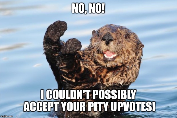 NO THANK YOU | NO, NO! I COULDN'T POSSIBLY ACCEPT YOUR PITY UPVOTES! | image tagged in no thank you | made w/ Imgflip meme maker