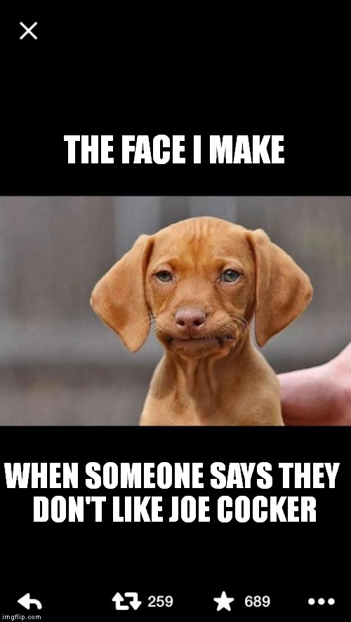 The face I make when C doesn't reply | THE FACE I MAKE; WHEN SOMEONE SAYS THEY DON'T LIKE JOE COCKER | image tagged in the face i make when c doesn't reply,joe cocker,memes,feel the bern | made w/ Imgflip meme maker