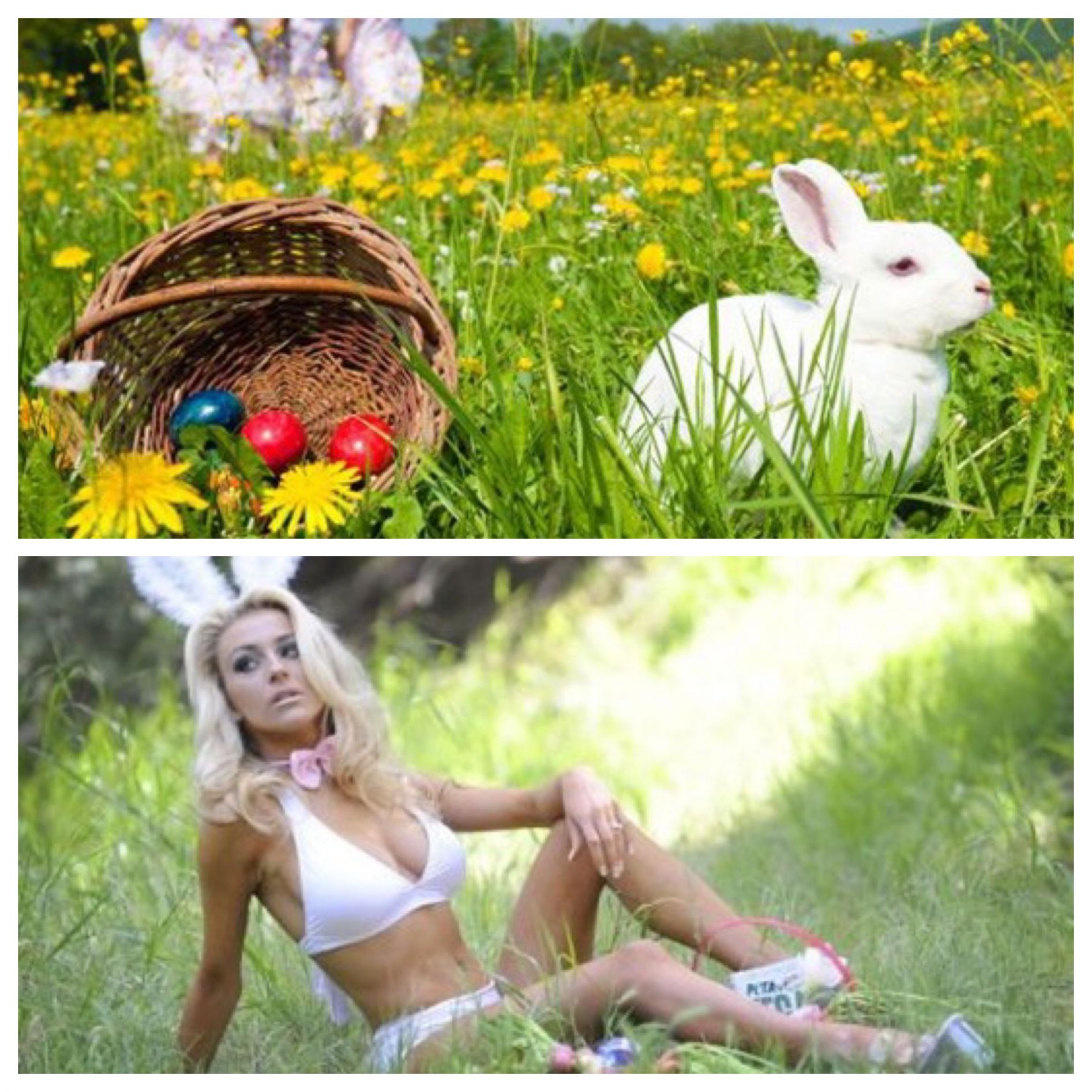 Adult Easter Bunny Blank Meme Template