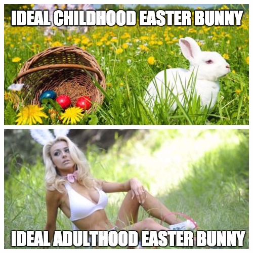 Adult Easter Bunny | IDEAL CHILDHOOD EASTER BUNNY; IDEAL ADULTHOOD EASTER BUNNY | image tagged in easter,easter bunny,big tits,sexy,candy,holidays | made w/ Imgflip meme maker