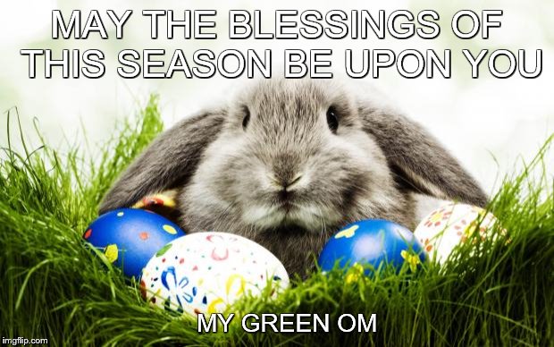 Easter bunny | MAY THE BLESSINGS OF THIS SEASON BE UPON YOU; MY GREEN OM | image tagged in easter bunny | made w/ Imgflip meme maker