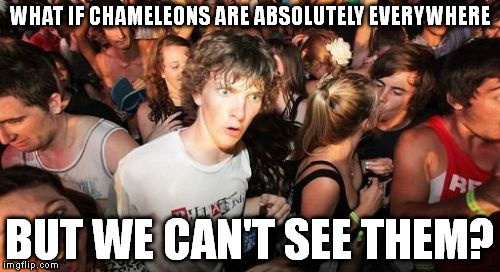 Sudden Clarity Clarence | WHAT IF CHAMELEONS ARE ABSOLUTELY EVERYWHERE; BUT WE CAN'T SEE THEM? | image tagged in memes,sudden clarity clarence | made w/ Imgflip meme maker