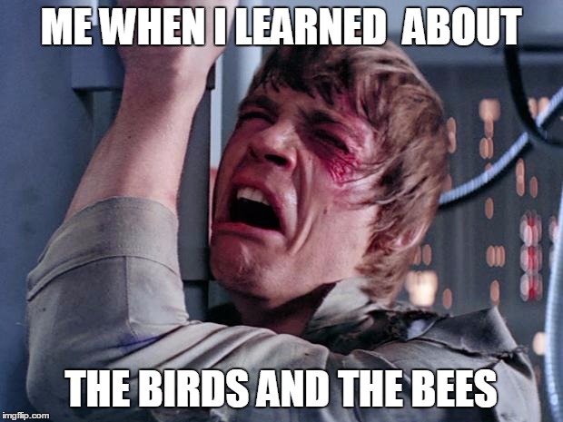 luke nooooo | ME WHEN I LEARNED  ABOUT; THE BIRDS AND THE BEES | image tagged in luke nooooo | made w/ Imgflip meme maker