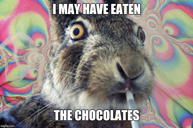 I MAY HAVE EATEN THE CHOCOLATES | made w/ Imgflip meme maker