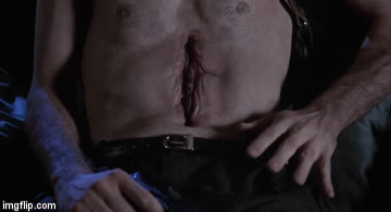 Videodrome. David Cronenberg | image tagged in gifs,gifs cine videodrome cronenberg | made w/ Imgflip video-to-gif maker