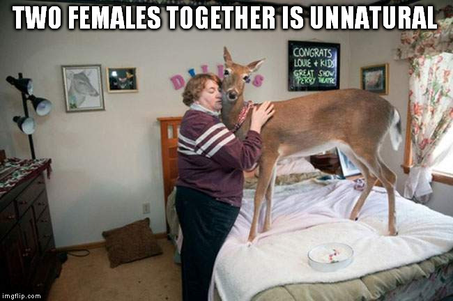 Oh Deer. | TWO FEMALES TOGETHER IS UNNATURAL | image tagged in deer | made w/ Imgflip meme maker
