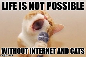 Life Without Internet Funny Meme On Me Me
