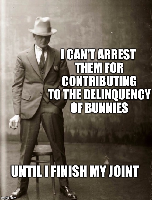 Government Agent Man | I CAN'T ARREST THEM FOR CONTRIBUTING TO THE DELINQUENCY OF BUNNIES UNTIL I FINISH MY JOINT | image tagged in government agent man | made w/ Imgflip meme maker