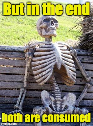 Waiting Skeleton Meme | But in the end both are consumed | image tagged in memes,waiting skeleton | made w/ Imgflip meme maker